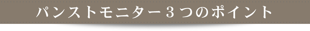 パンストモニター 3つのポイント