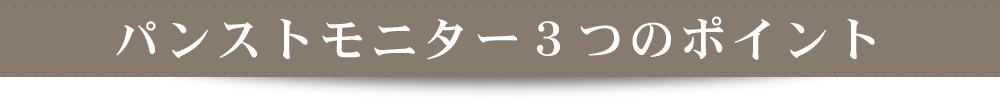 パンストモニター ３つのポイント